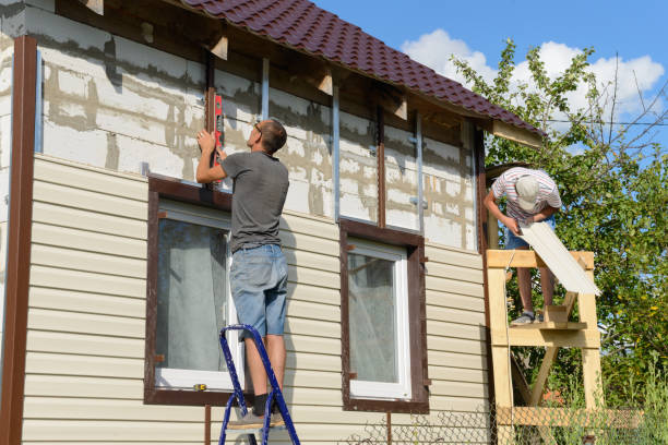 Best Fascia and Soffit Installation  in Mogul, NV