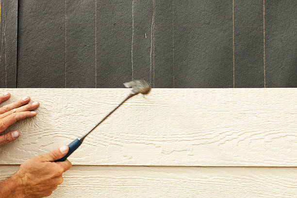 Affordable Siding Repair and Maintenance Services in Mogul, NV