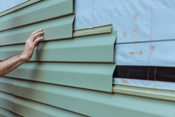 Mogul, NV Siding Company